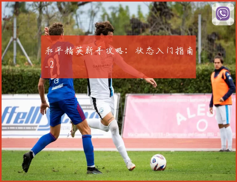 和平精英新手攻略：状态入门指南_2