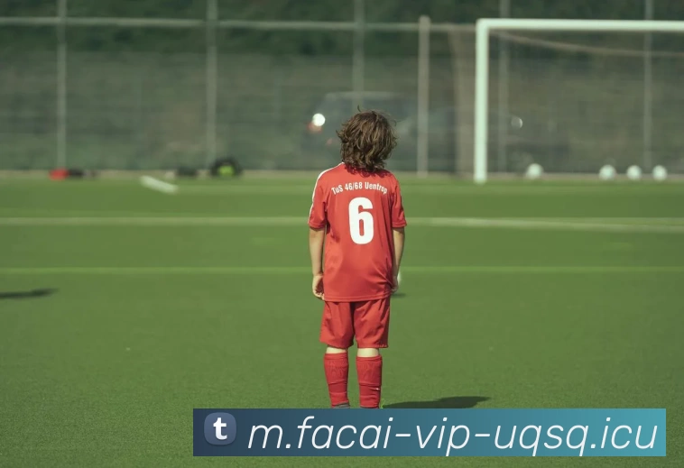 华体会体育注册平台生态图